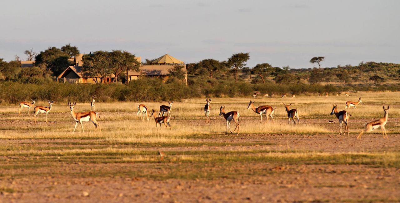 Suricate Tented Kalahari Lodge Hoachanas Ngoại thất bức ảnh
